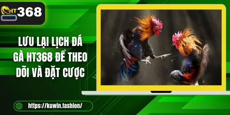 Lưu lại lịch đá gà HT368 để theo dõi và đặt cược