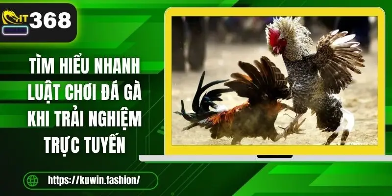 Tìm hiểu nhanh luật chơi đá gà khi trải nghiệm trực tuyến